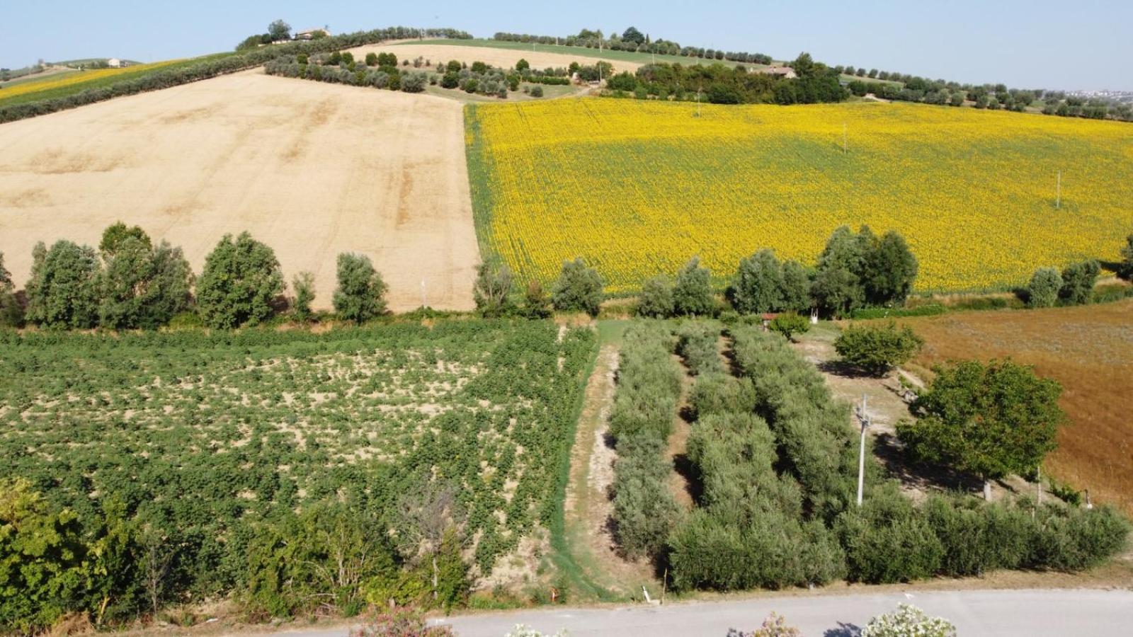 B&B La Tenuta Del Conte Fermo Buitenkant foto